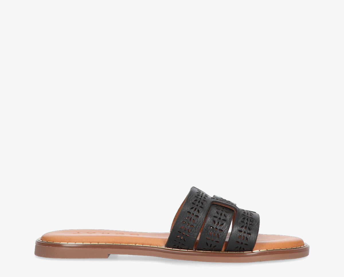 Audrey 37-c