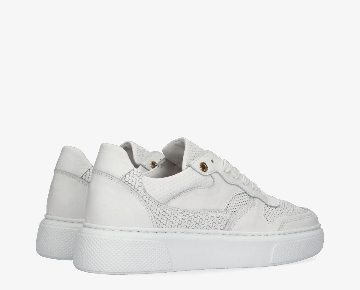 S-Alex 28-c