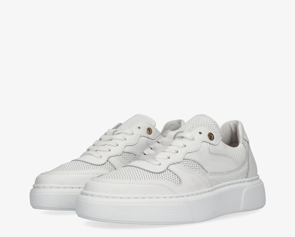 S-Alex 28-c