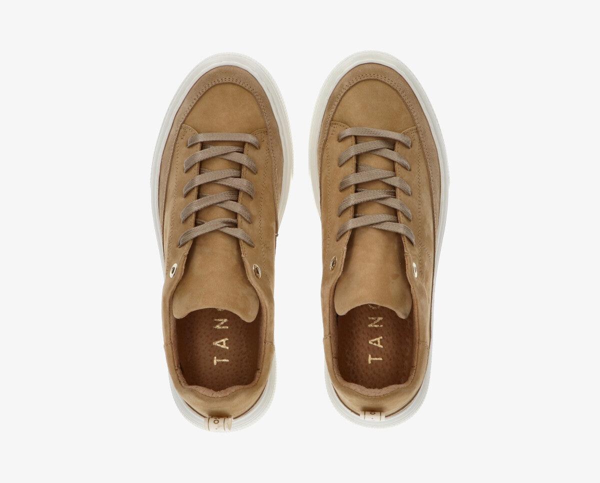 Alex 17-c - Tango Shoes