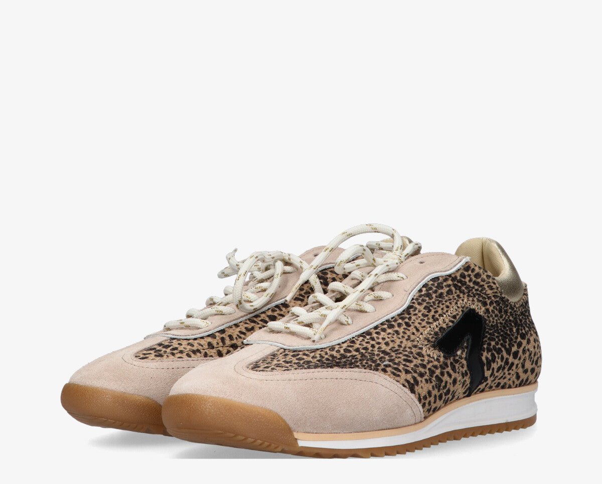 S-Junia 1-b