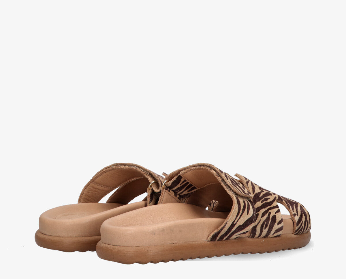 S-Lilia 1-m