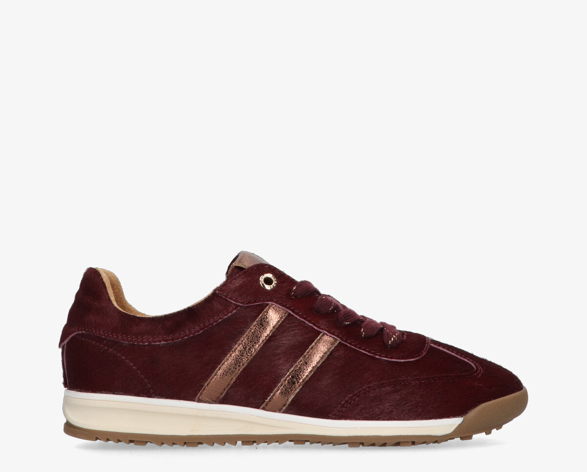 Moxie 404-c