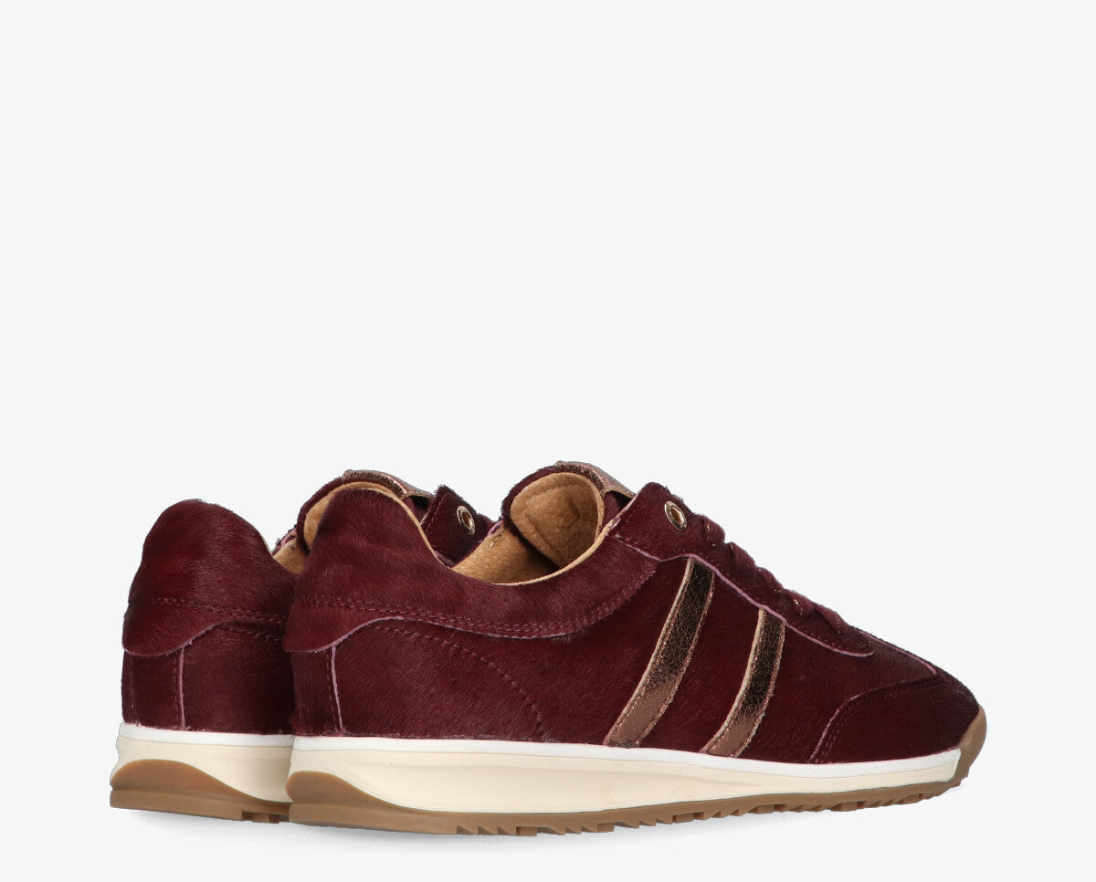 Moxie 404-c