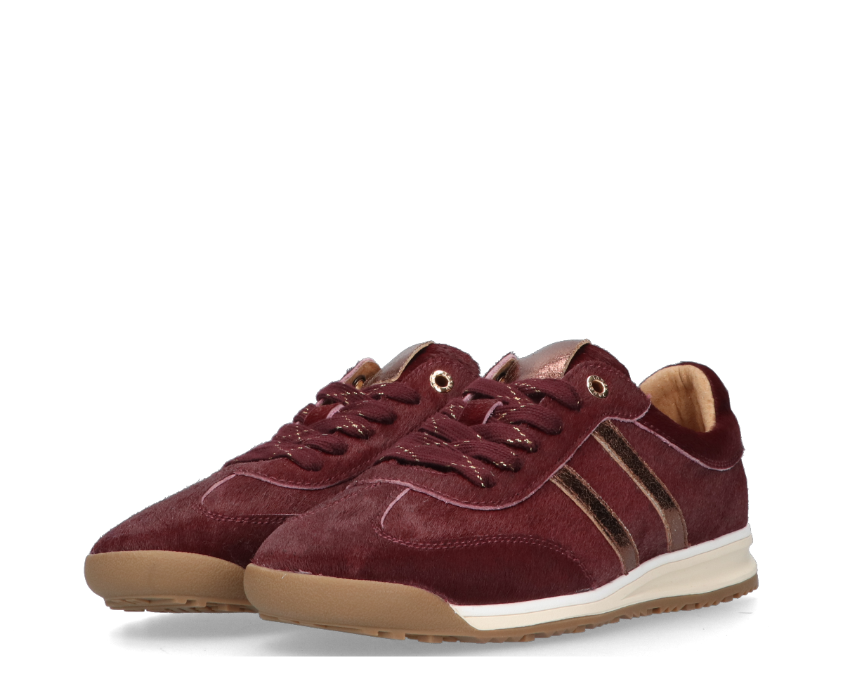 Moxie 404-c