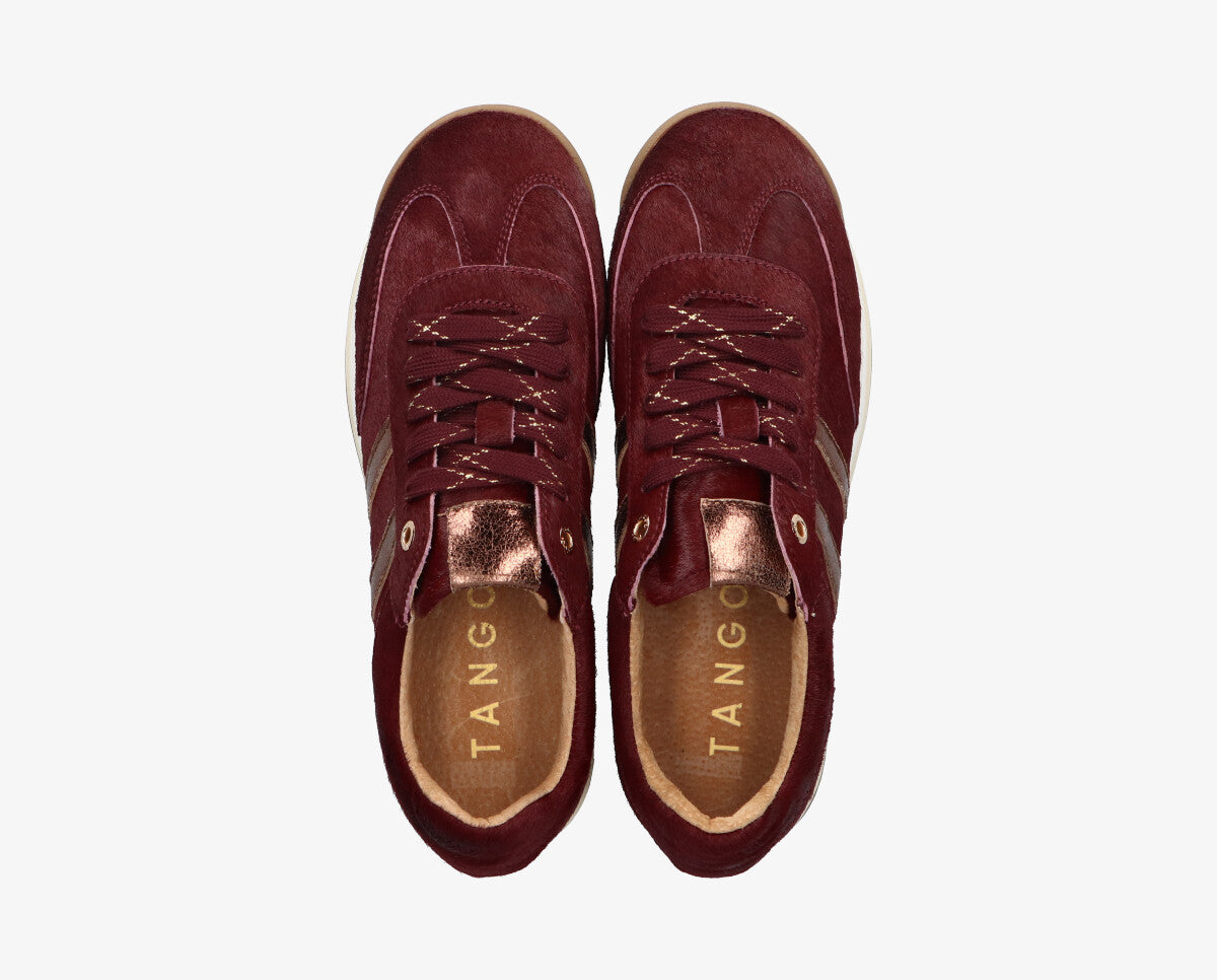 Moxie 404-c