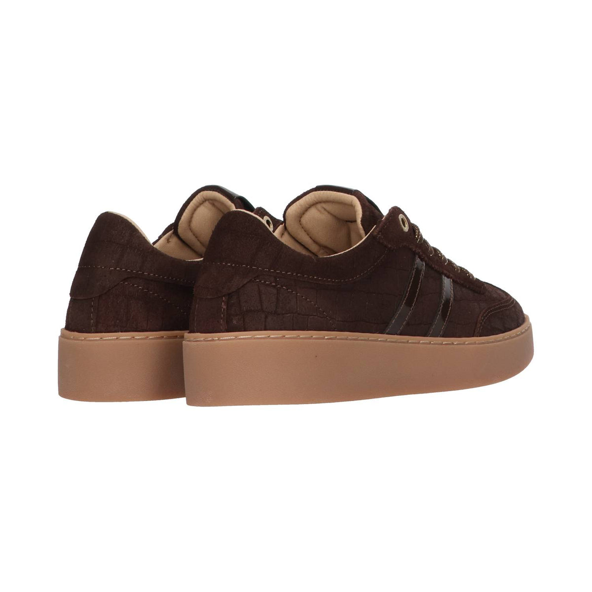 Nynke 1-ao