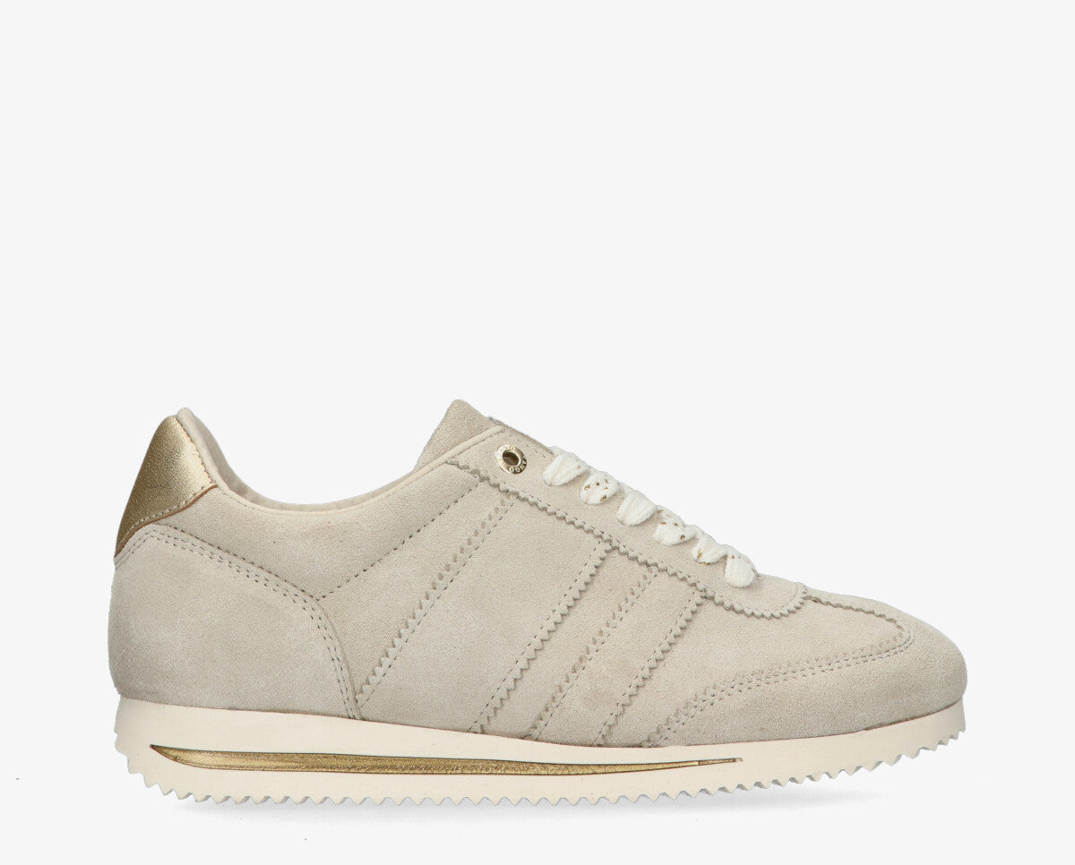 S-Tess 4-b
